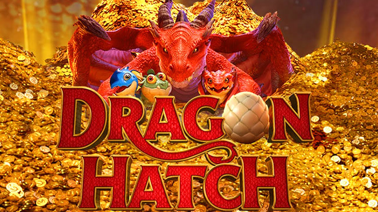 Dragon Hatch- Jogo do Dragao - melhor horário para jogar