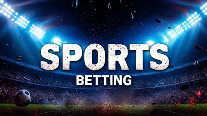 Pinata Wins: A Casa de Apostas Ideal para Iniciantes e Experts